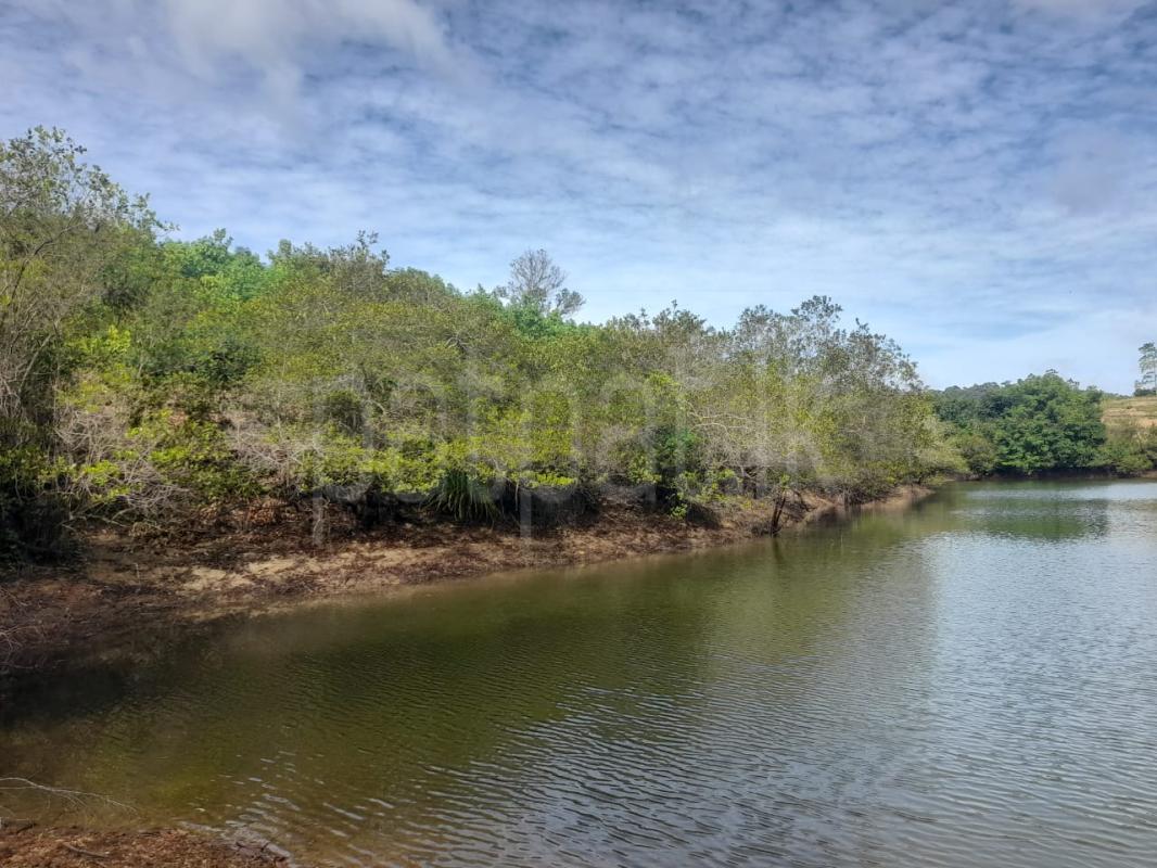 premium-listing-image