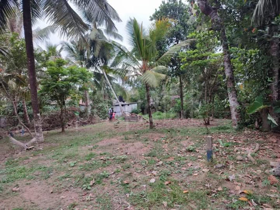 Agricultural Land for Sale in Adampan