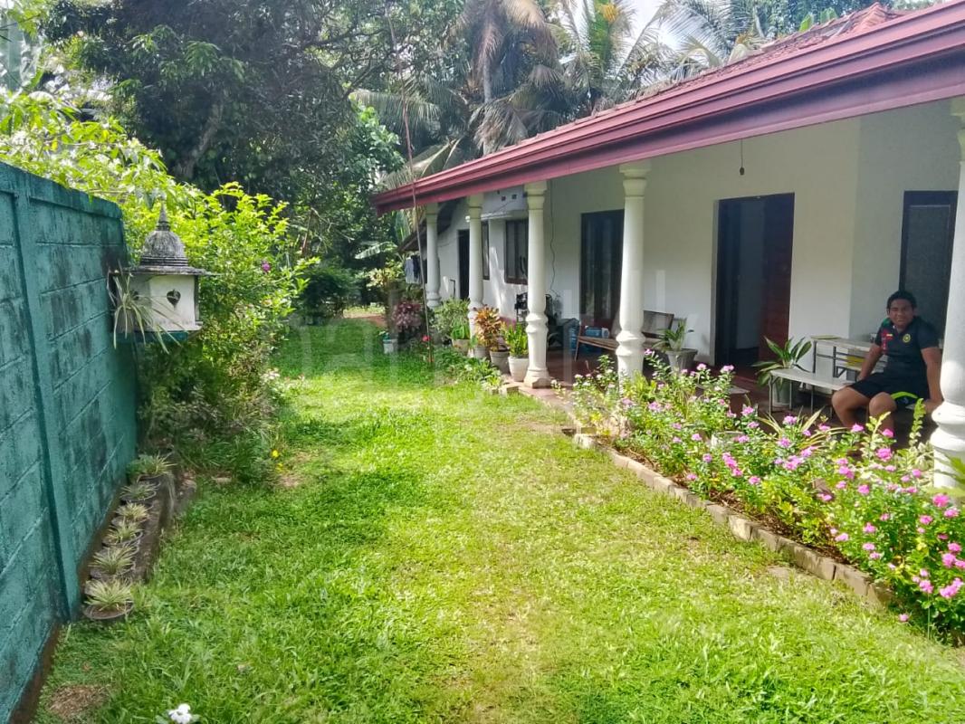 Annex for Rent in Maharagama