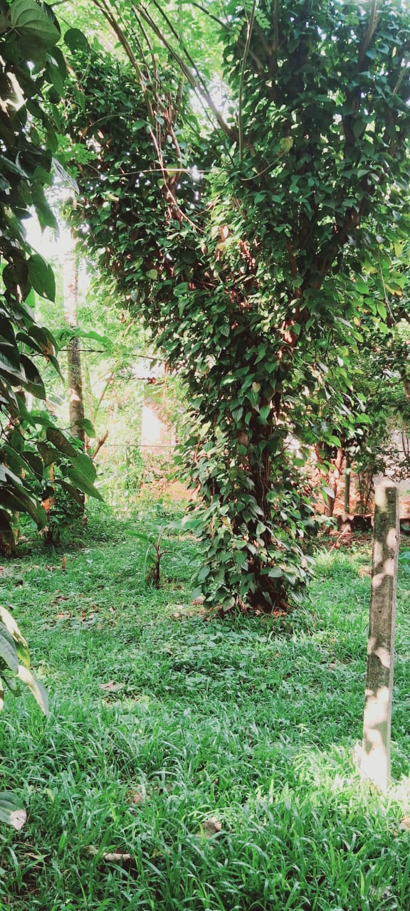 House for Sale in Kurunegala