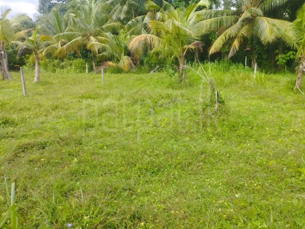 Agricultural Land for Sale in Mawathagama