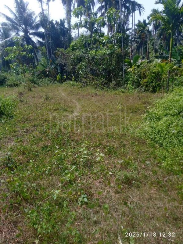 Agricultural Land for Sale in Horana ads-image-1