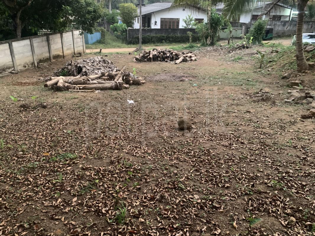 Residential Land for Sale in Padukka