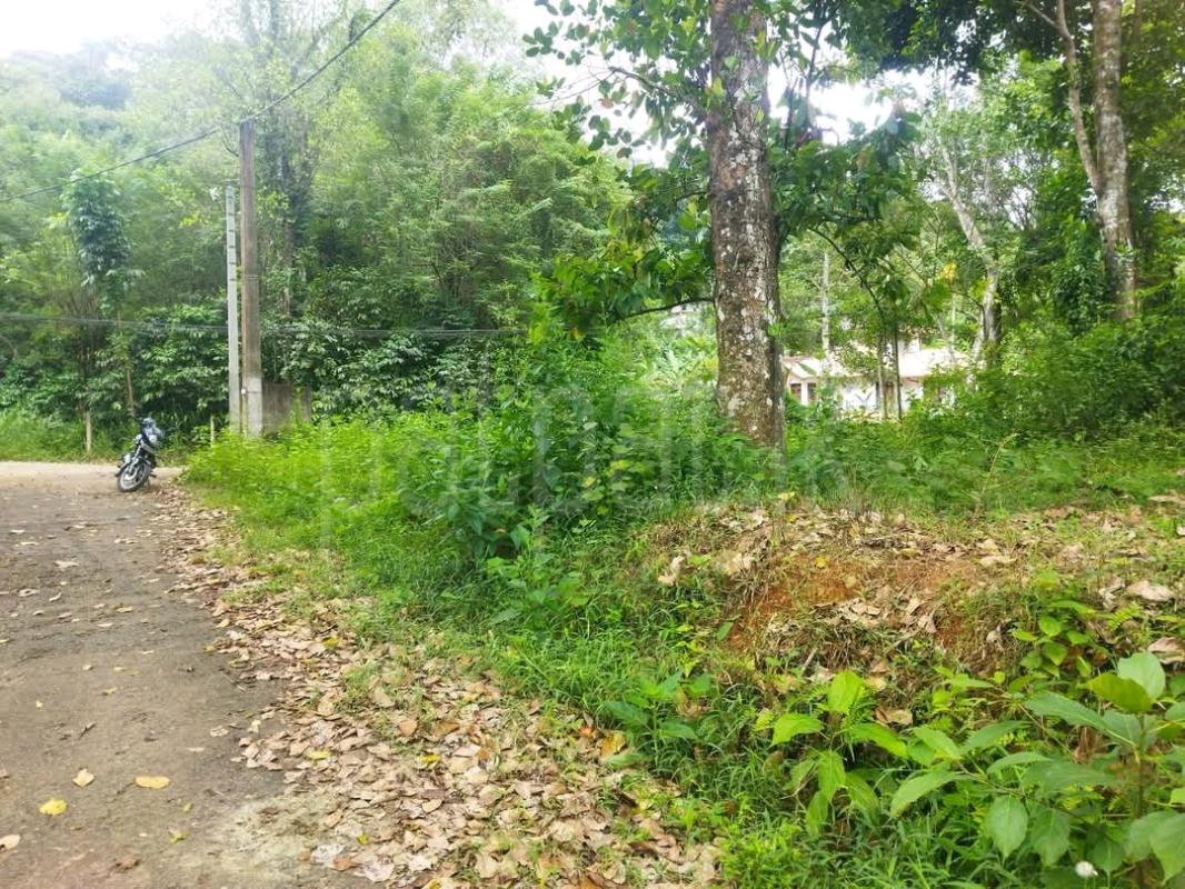 Residential Land for Sale in Ridigama
