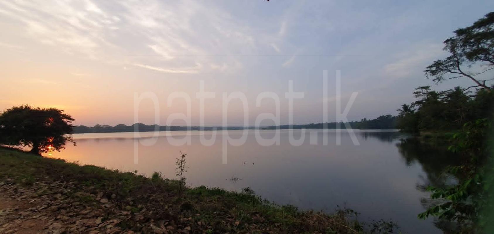 Agricultural Land for Sale in Gallella