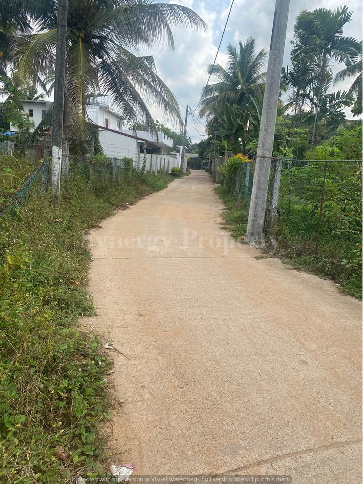 Advertisement image 6