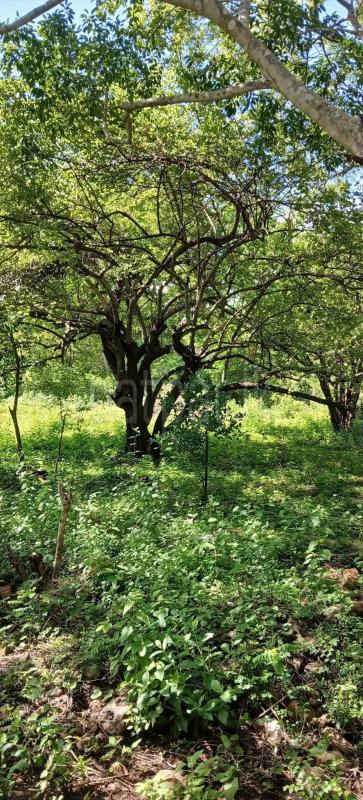 Residential Land for Sale in Kataragama