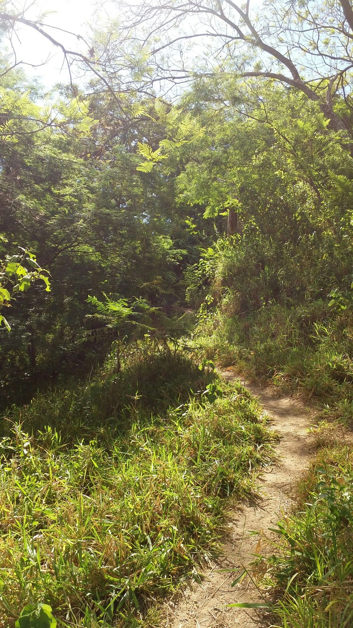 Residential Land for Sale in Galle