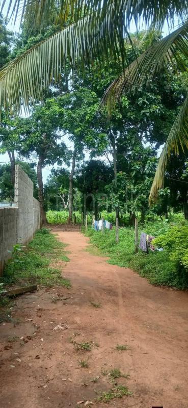Residential Land for Sale in Sella Kataragama