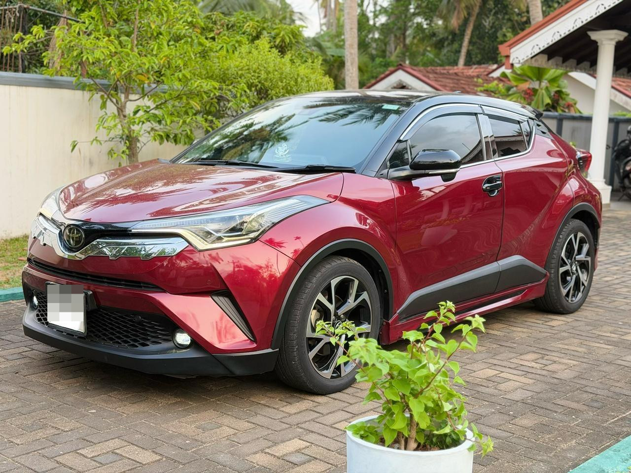 Toyota CHR 2019 - பயன்படுத்தப்பட்டது SUV sale in Sri Lanka - patpat.lk