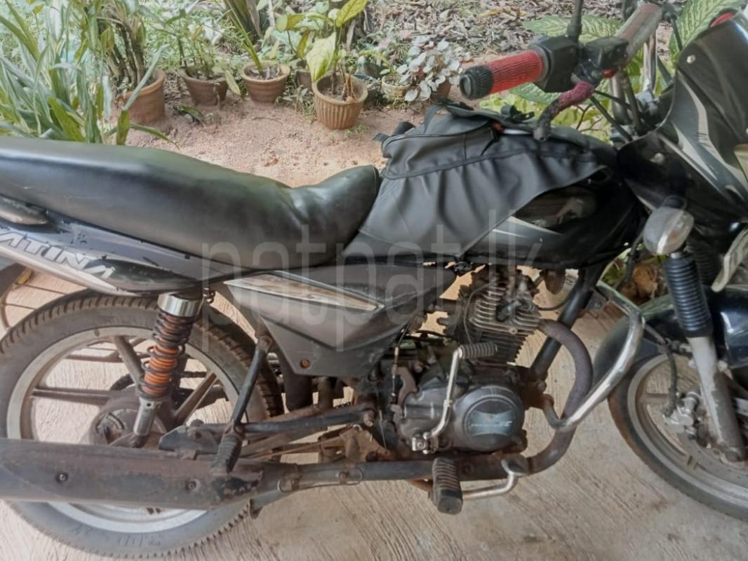 Advertisement image 3