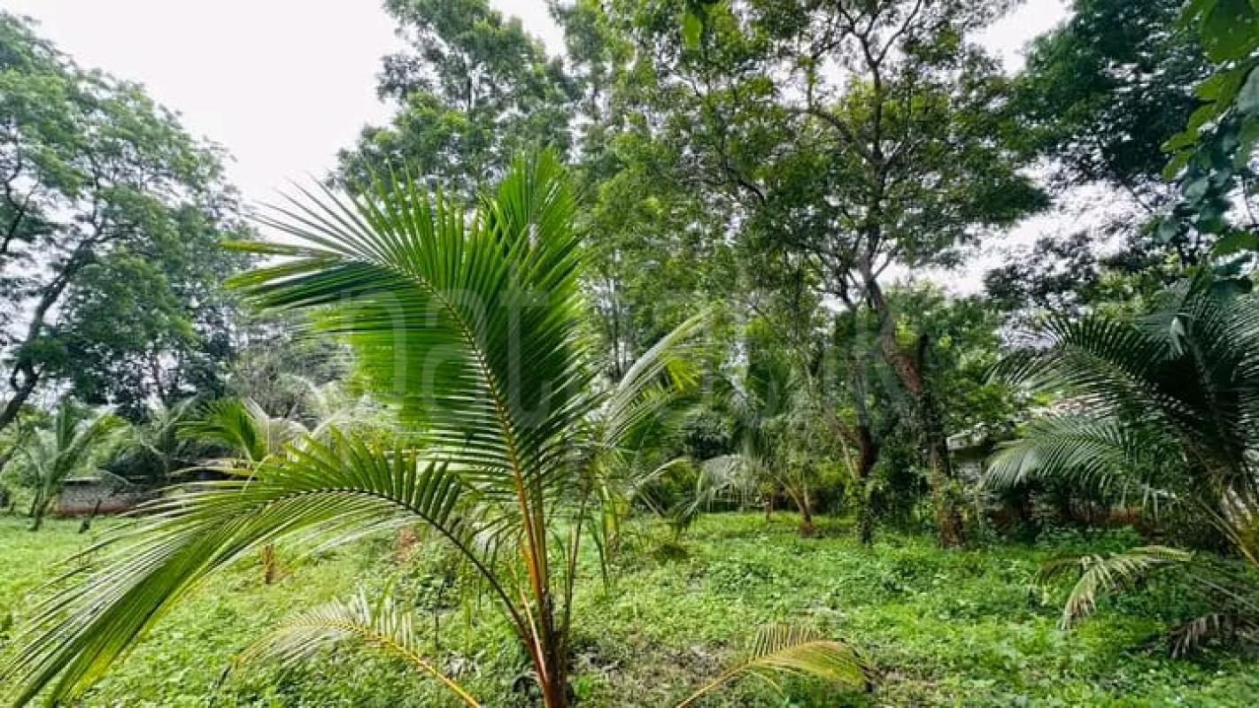 Residential Land for Sale in Badulla