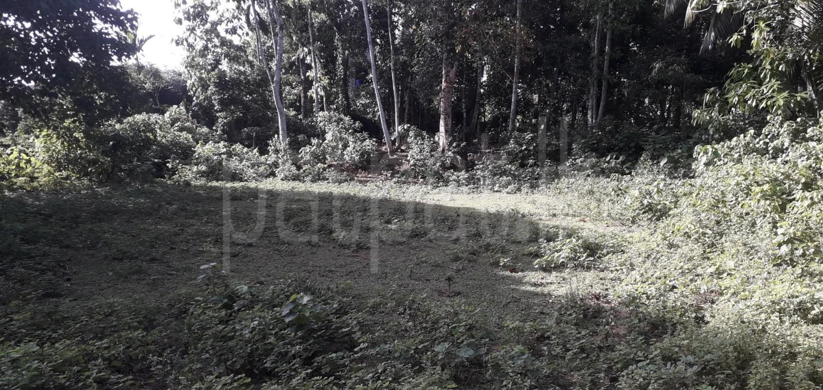 Commercial Land for Sale in Homagama