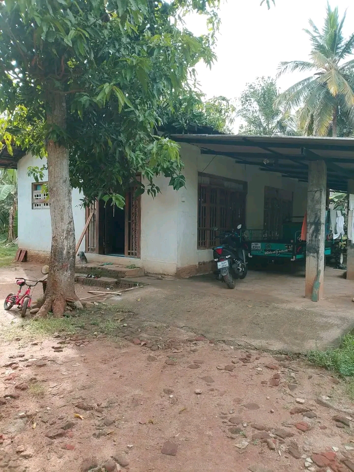 House for Sale in Embilipitiya