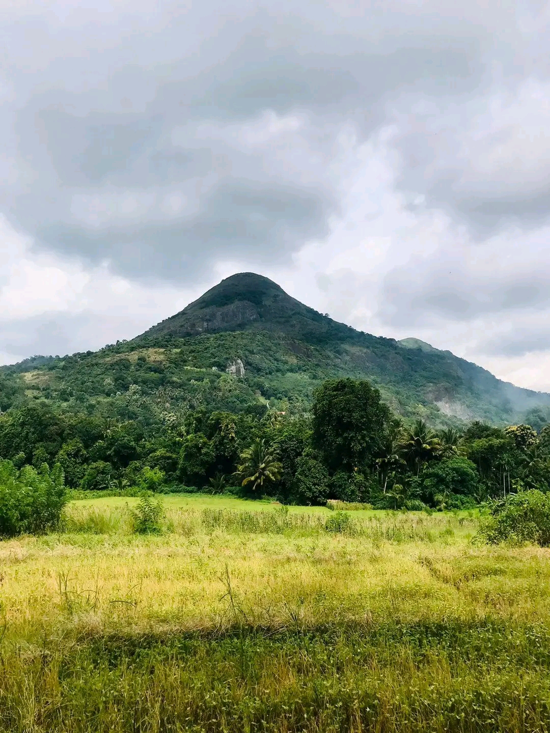 Agricultural Land for Sale in Matale