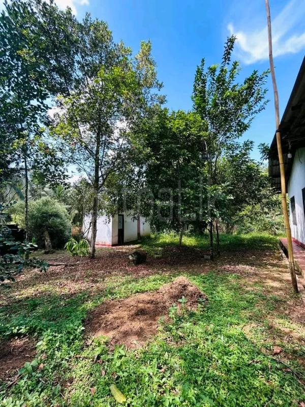 Residential Land for Sale in Horana ads-image-1