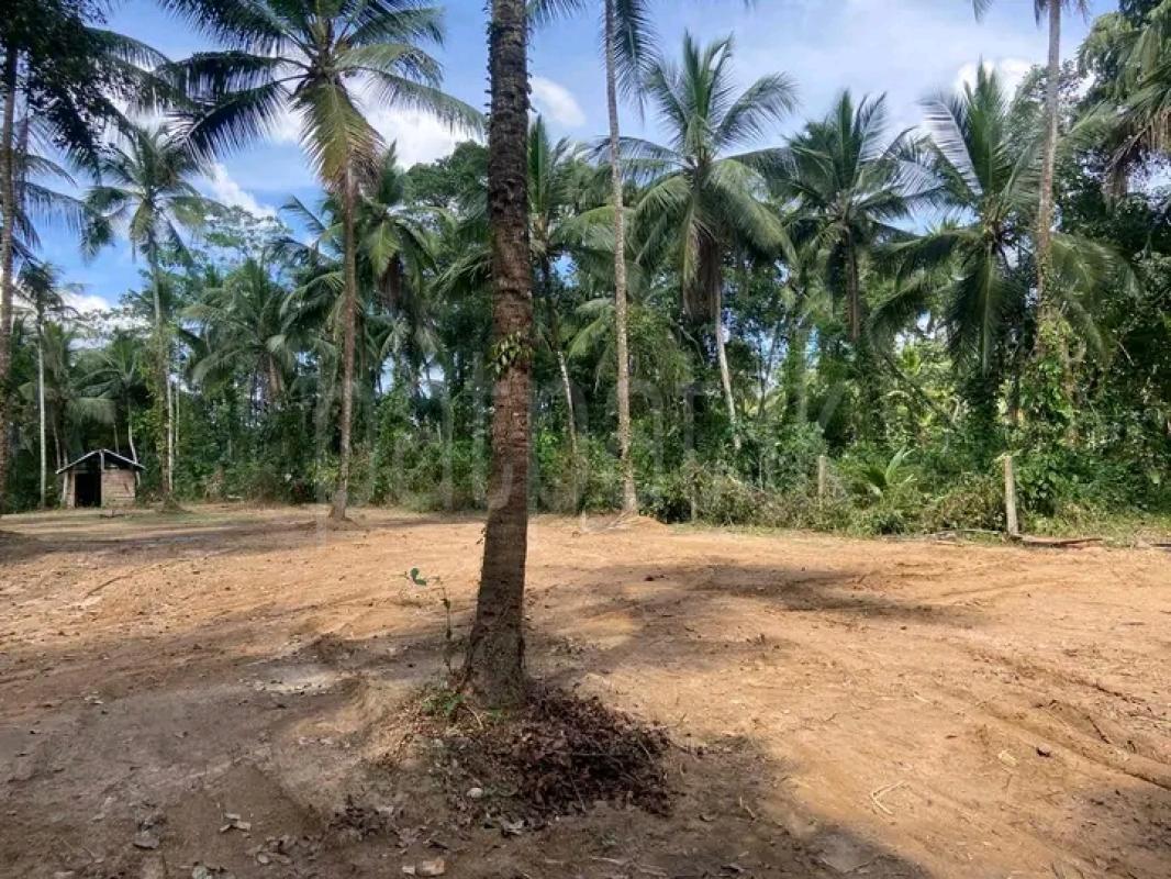 Commercial Land for Sale in Veyangoda