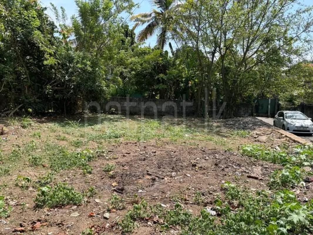 Commercial Land for Sale in Pannipitiya