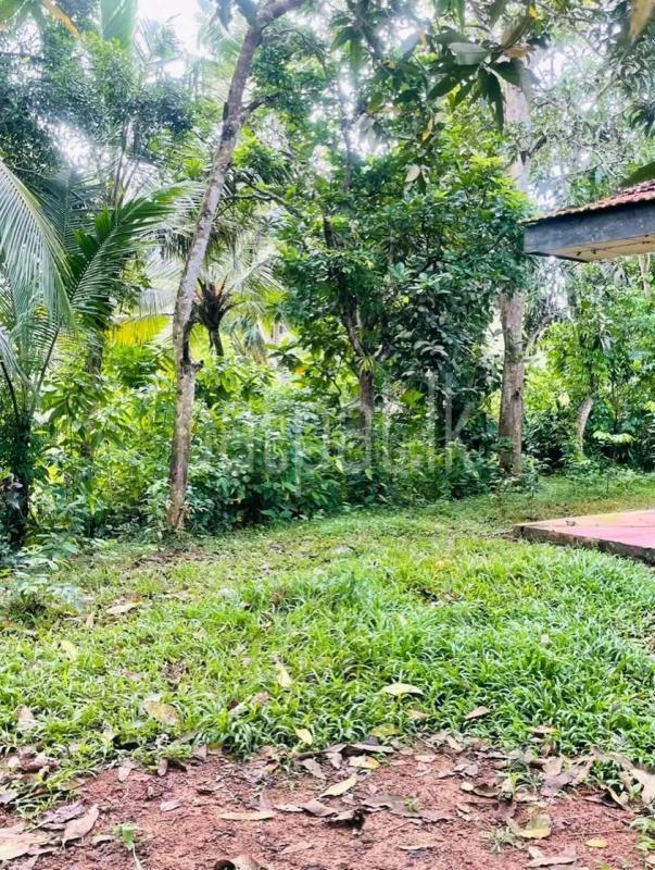 Residential Land for Sale in Weligama