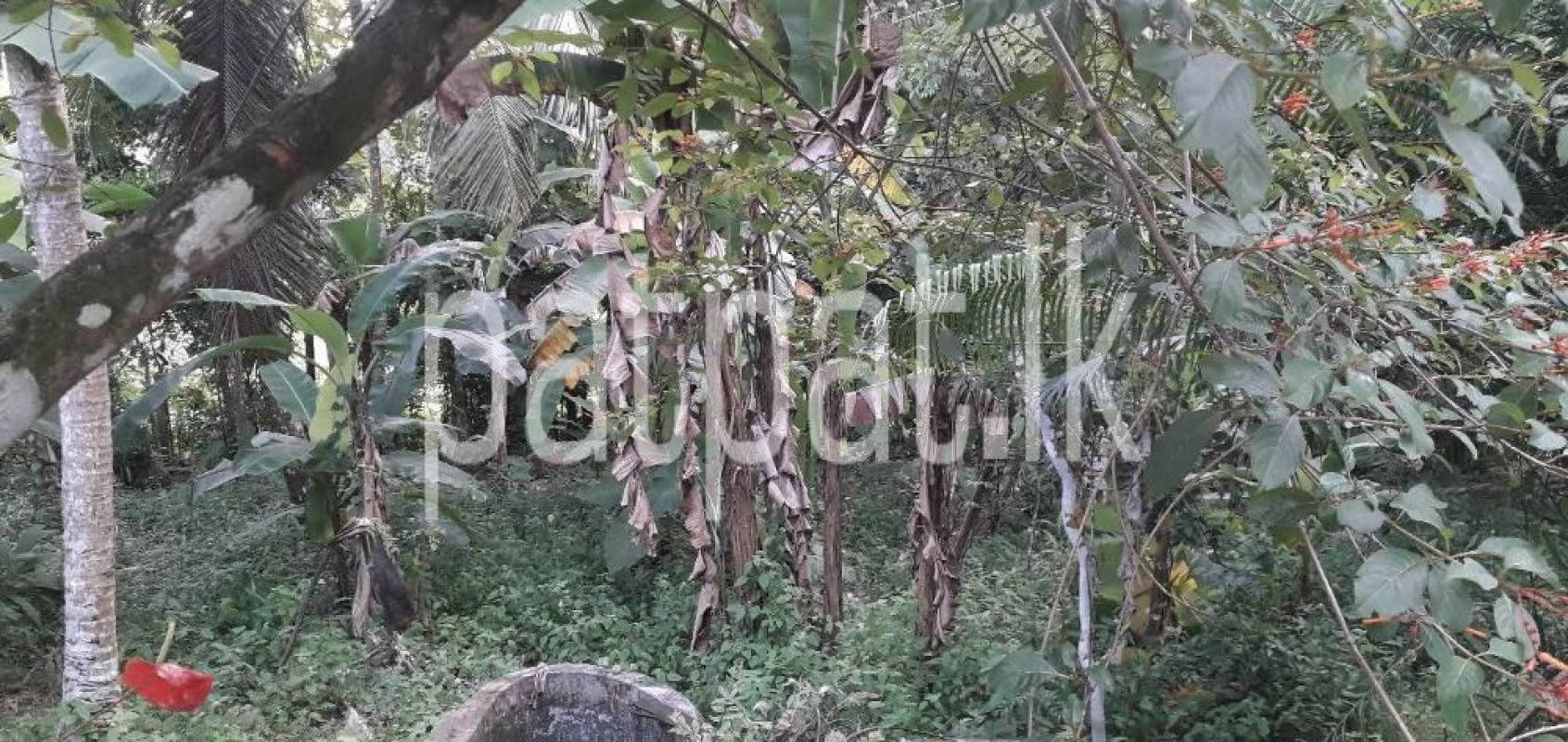 Commercial Land for Sale in Athurugiriya ads-image-1