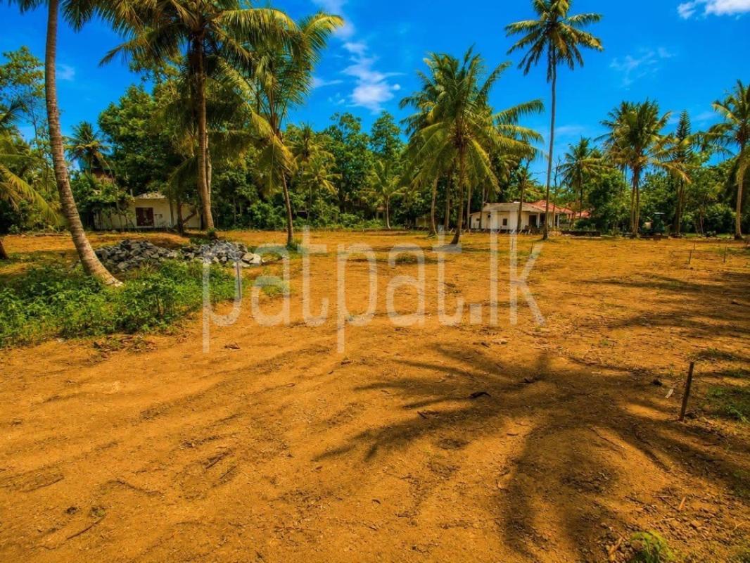 Residential Land for Sale in Galle