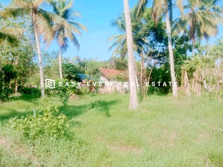 Commercial Land for Sale in Nattandiya