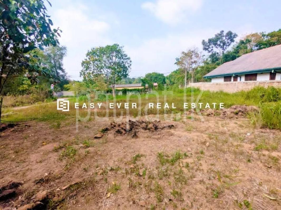 Residential Land for Sale in Nittambuwa