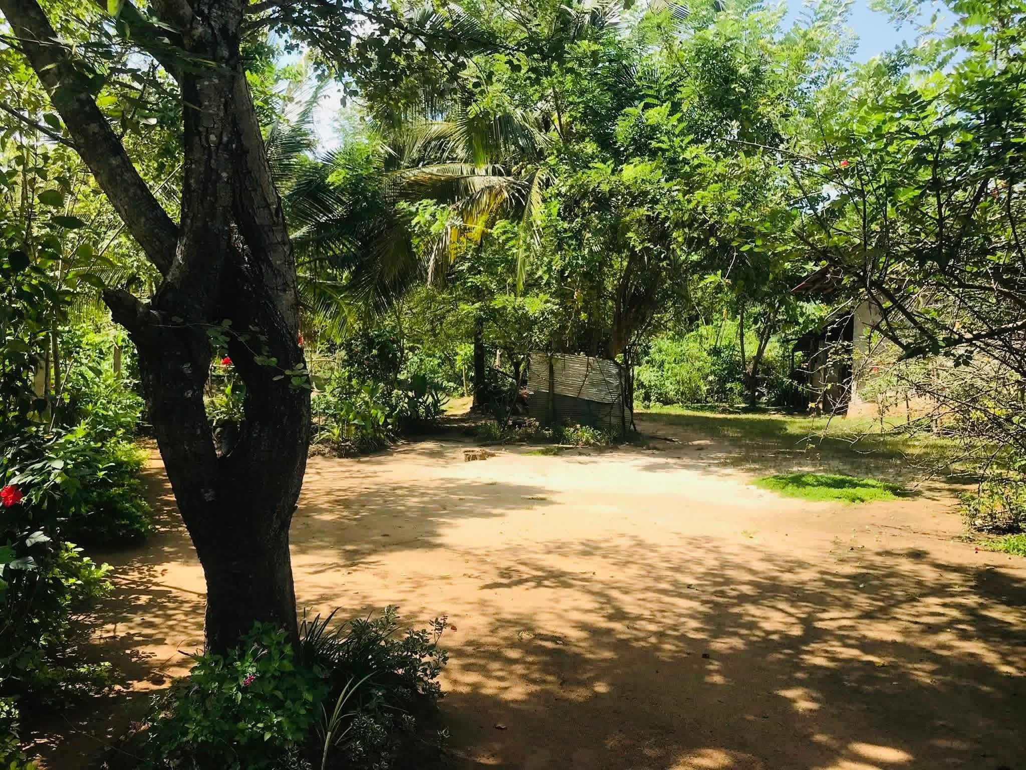 Agricultural Land for Sale in Sewanagala