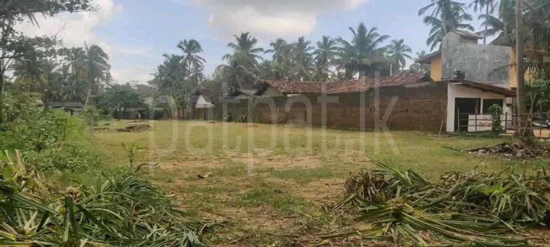 Residential Land for Sale in Waskaduwa