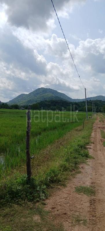 Commercial Land for Sale in Kataragama ads-image-1