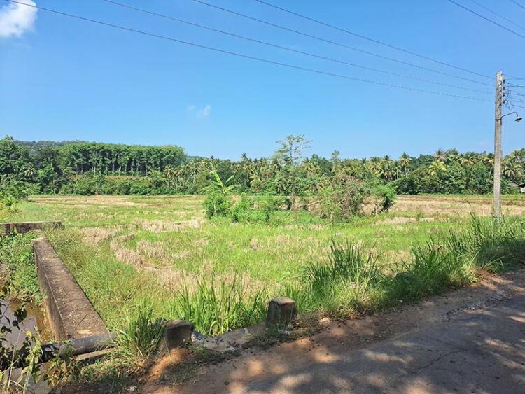 Agricultural Land for Sale in Nittambuwa