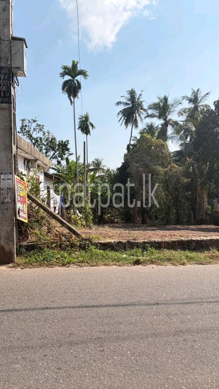 Commercial Land for Sale in Kaleliya