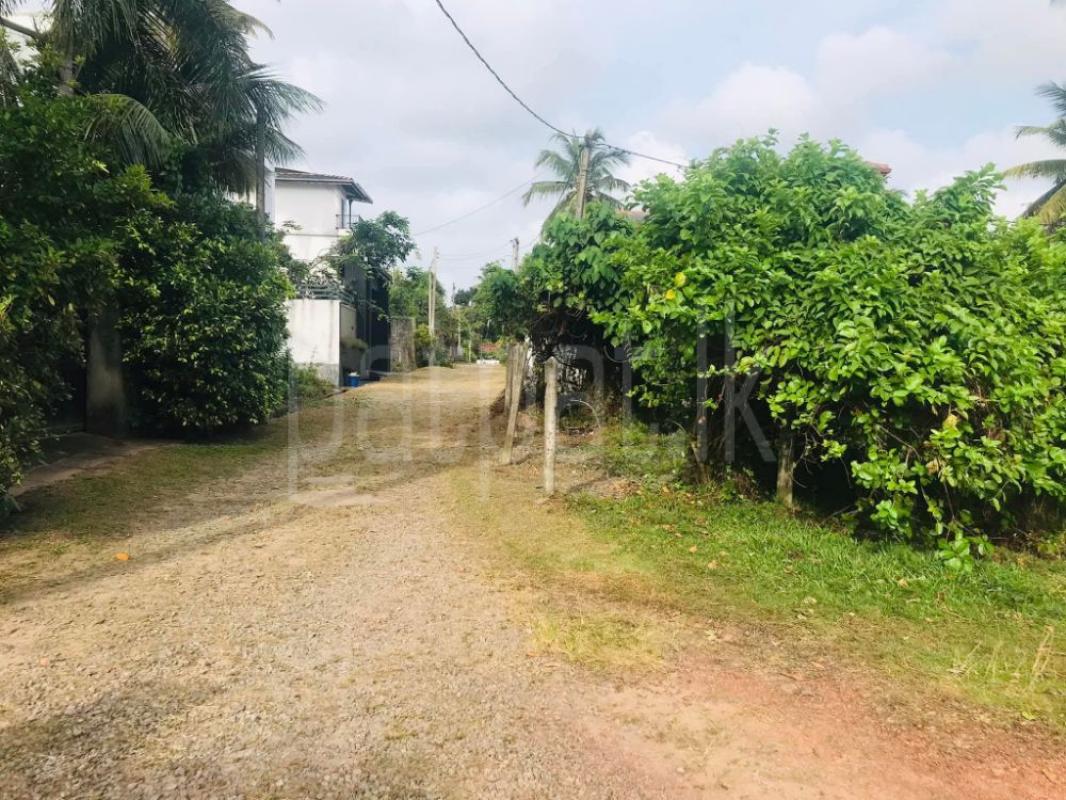 Commercial Land for Sale in Panadura ads-image-1