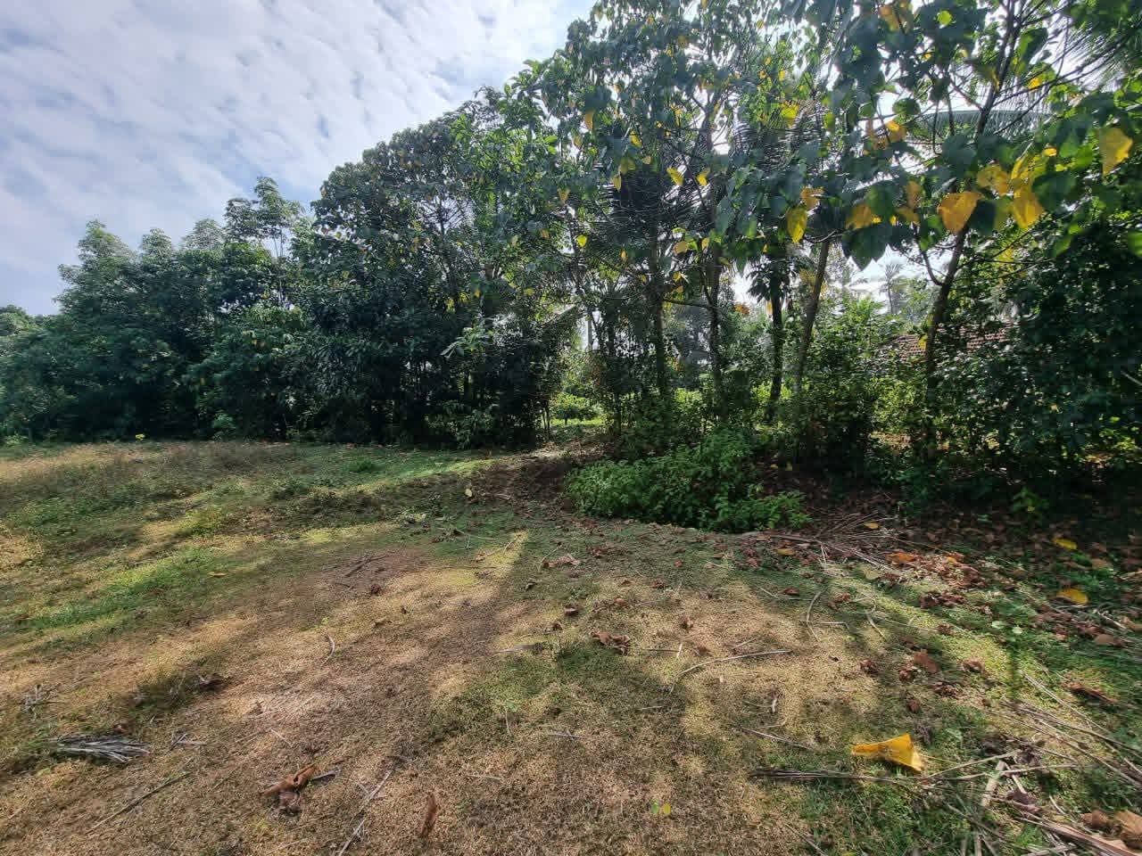 Residential Land for Sale in Nittambuwa