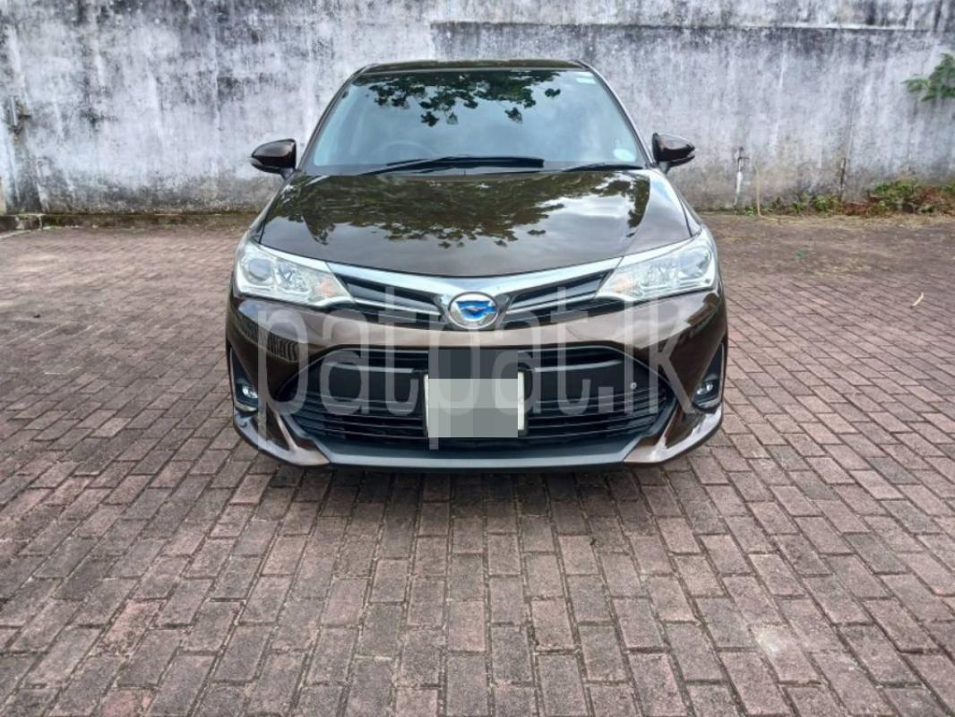 Advertisement image 1