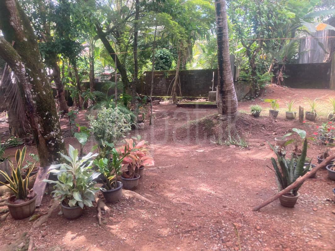 Commercial Land for Sale in Kadawatha