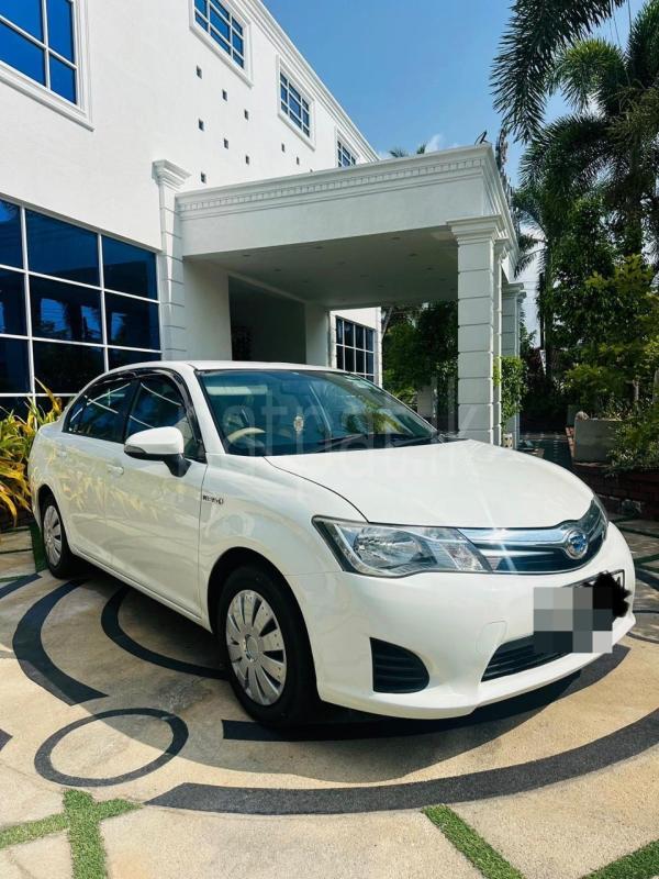 Advertisement image 2