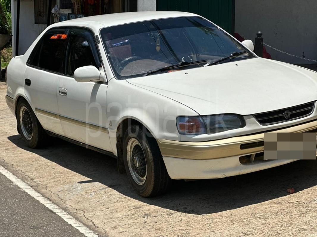 Toyota Corolla 1996 - Used Car sale in Sri Lanka - patpat.lk
