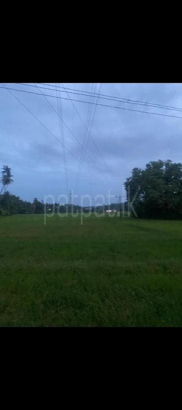 Agricultural Land for Sale in Hakmana ads-image-1