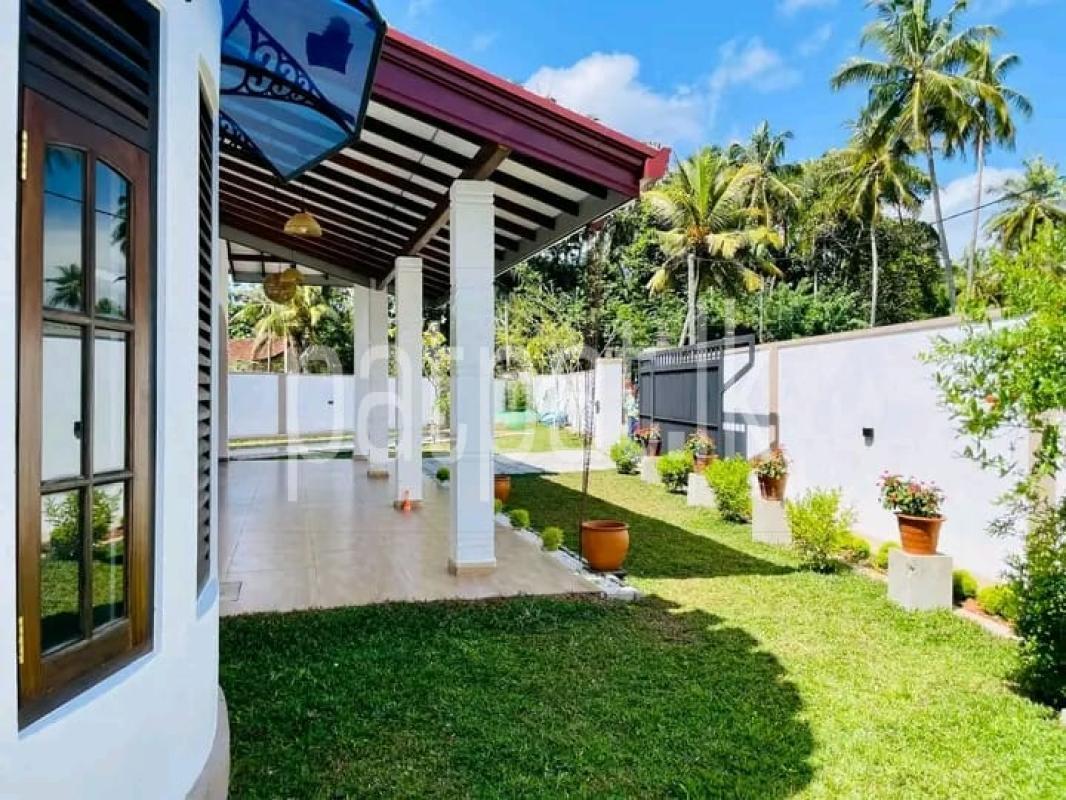 premium-listing-image