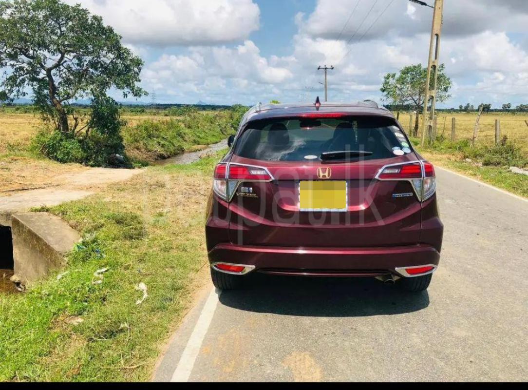 Advertisement image 3