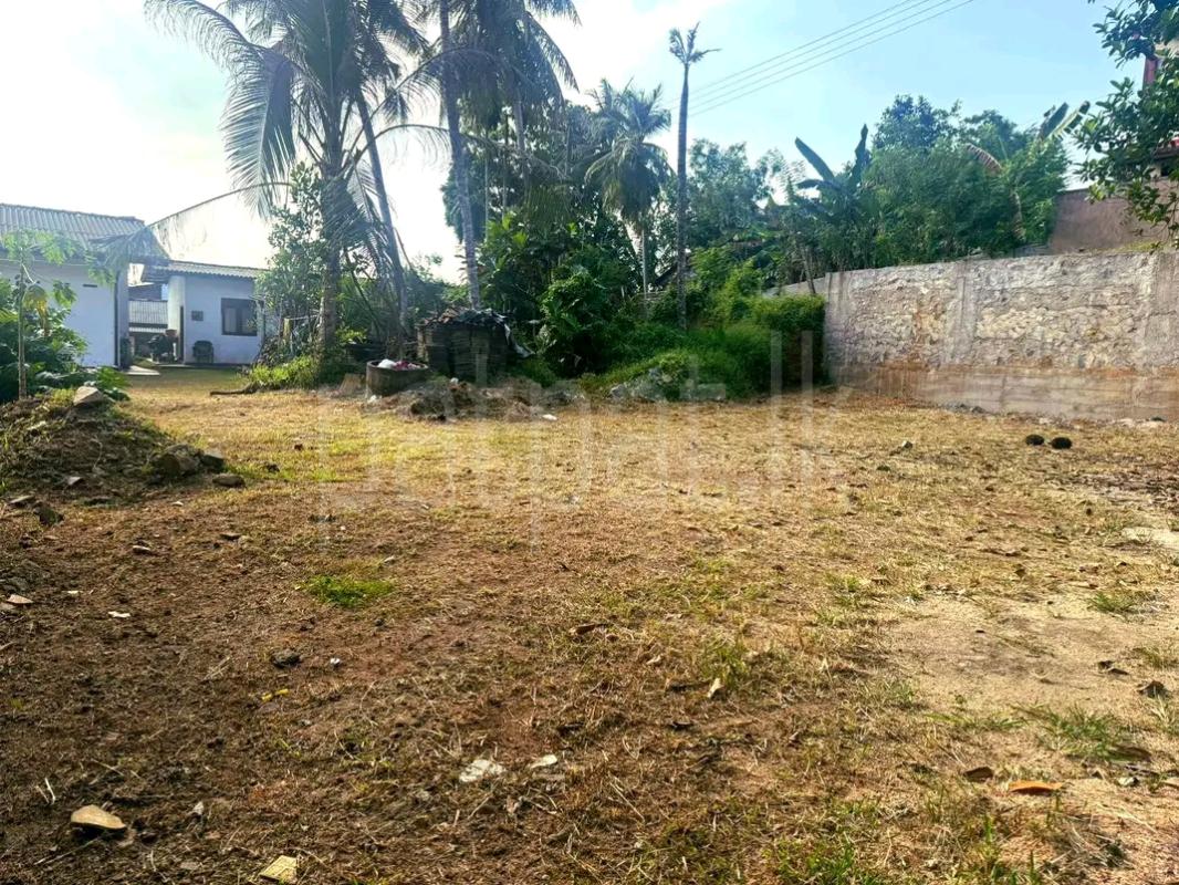 Commercial Land for Sale in Panadura ads-image-1