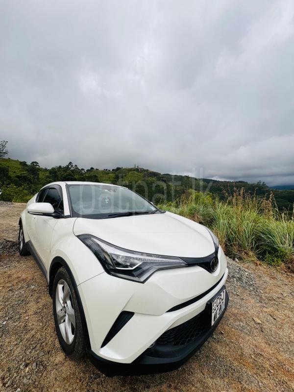 Advertisement image 6