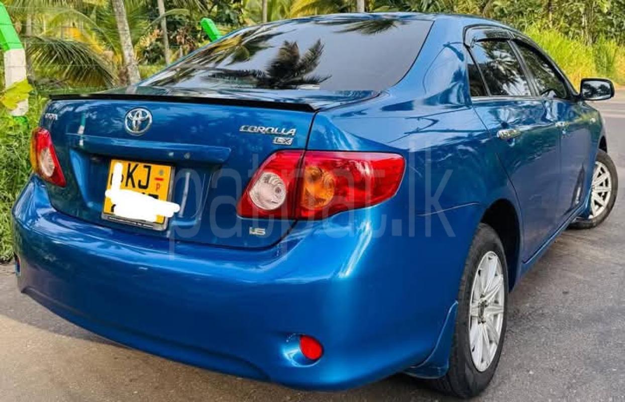 Advertisement image 2