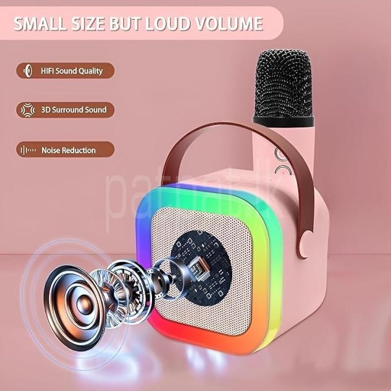 K-12 speaker with 2 mic set