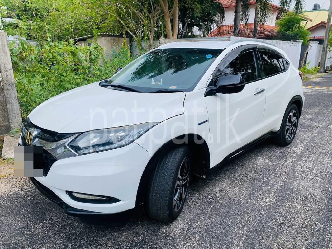 Advertisement image 3