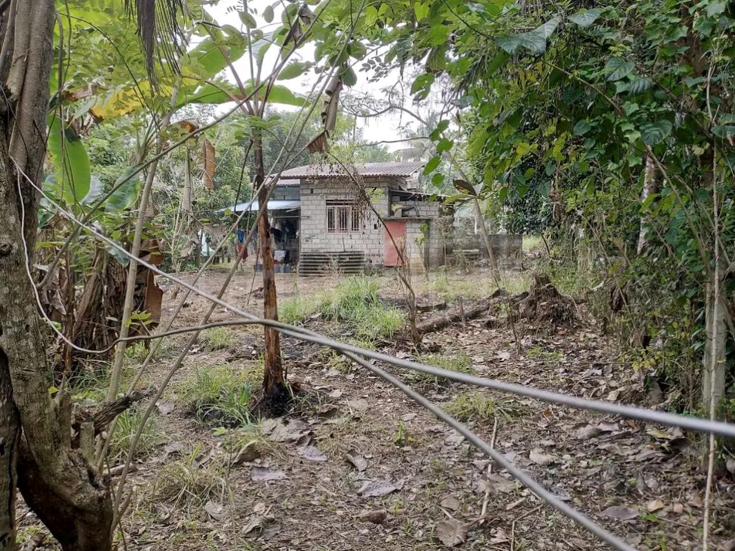 Agricultural Land for Sale in Gampola