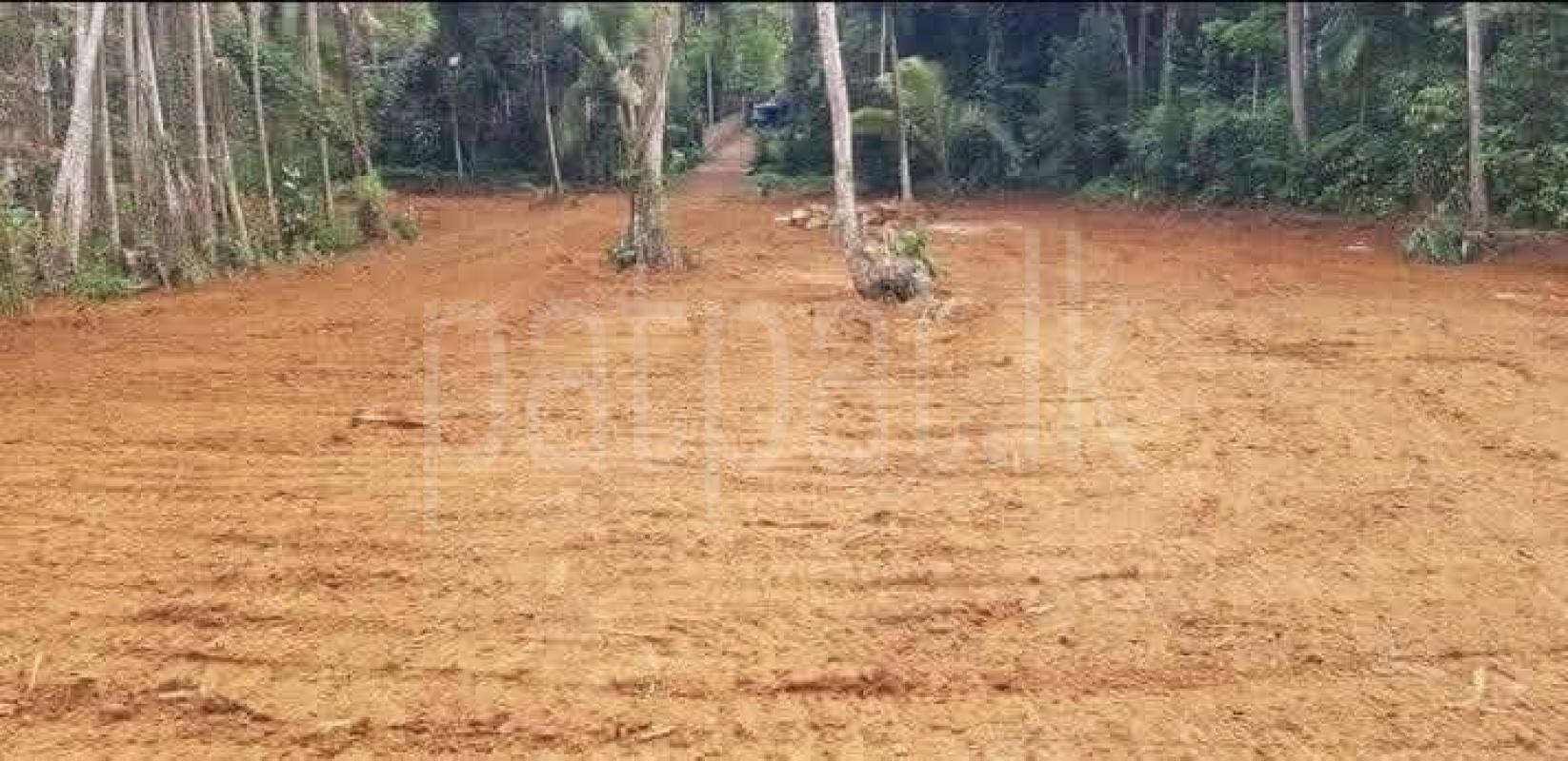 Residential Land for Sale in Gampola ads-image-1