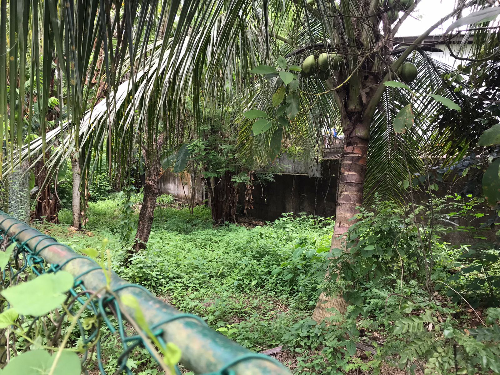 Residential Land for Sale in Habarakada ads-image-1