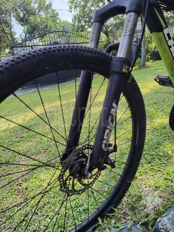 Advertisement image 4